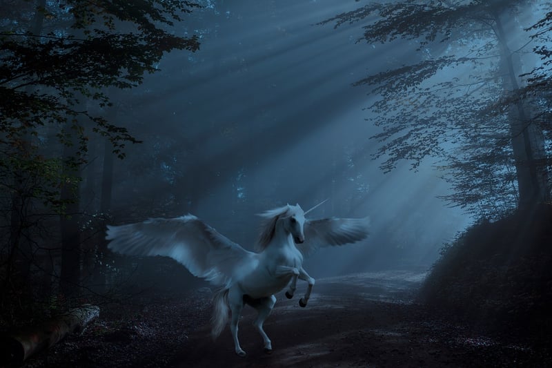 Unicorn Ride